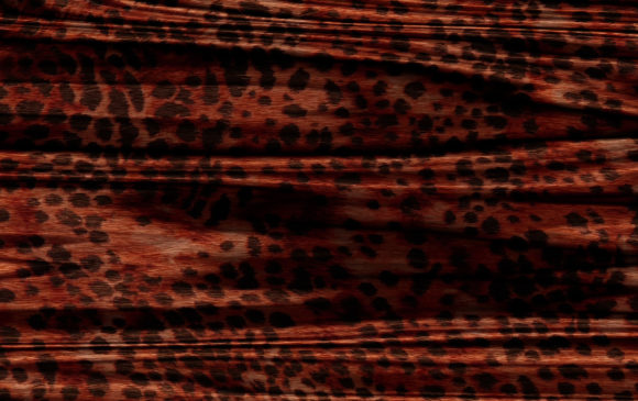 Download Abstract Animal Skin Texture Backgrounds - Animal skin texture Collection